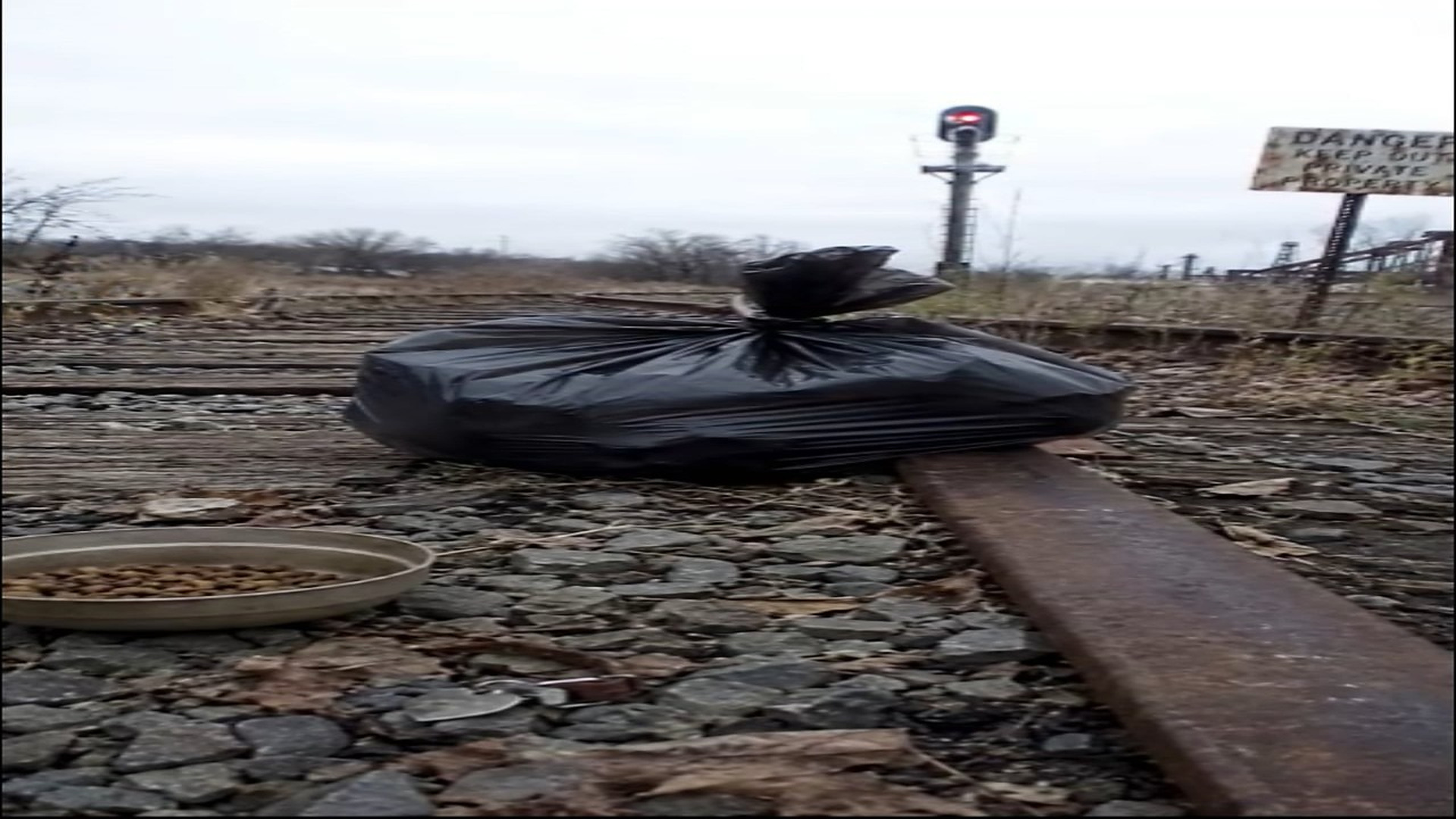 Rescue video here: 009 - Gentle Animal Abandoned Inside Dark Cold Bag